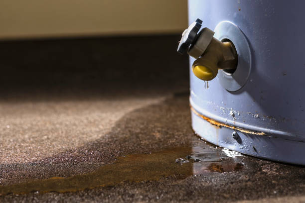 Reliable Loudoun Valley Estates, VA Water damage restoration Solutions