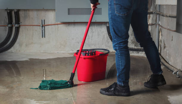 Reliable Loudoun Valley Estates, VA Water damage restoration Solutions