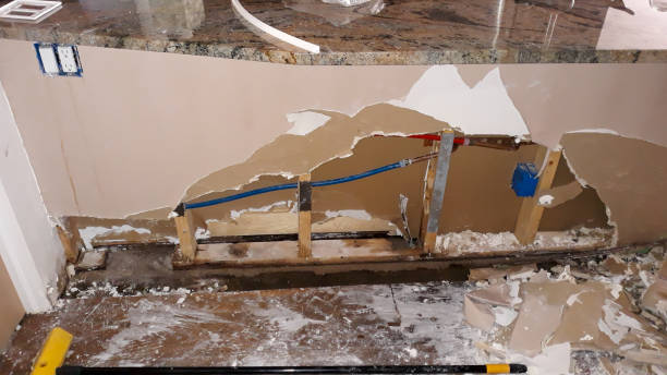 Best Carpet water damage restoration  in Loudoun Lley Estates, VA