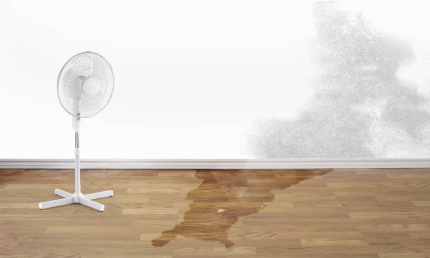 Best Water damage restoration near me  in Loudoun Lley Estates, VA