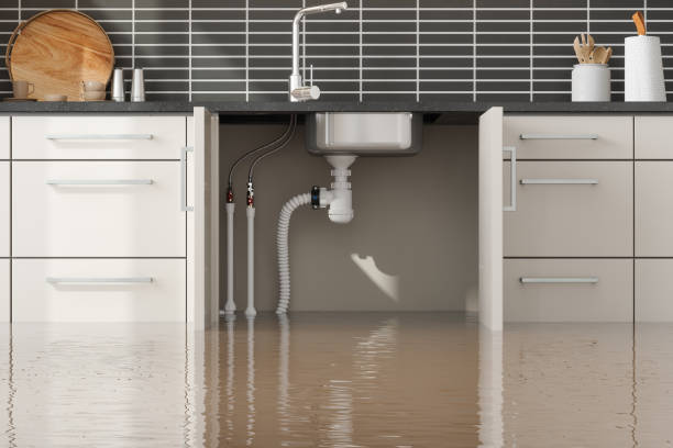Best Mold removal after water damage  in Loudoun Lley Estates, VA